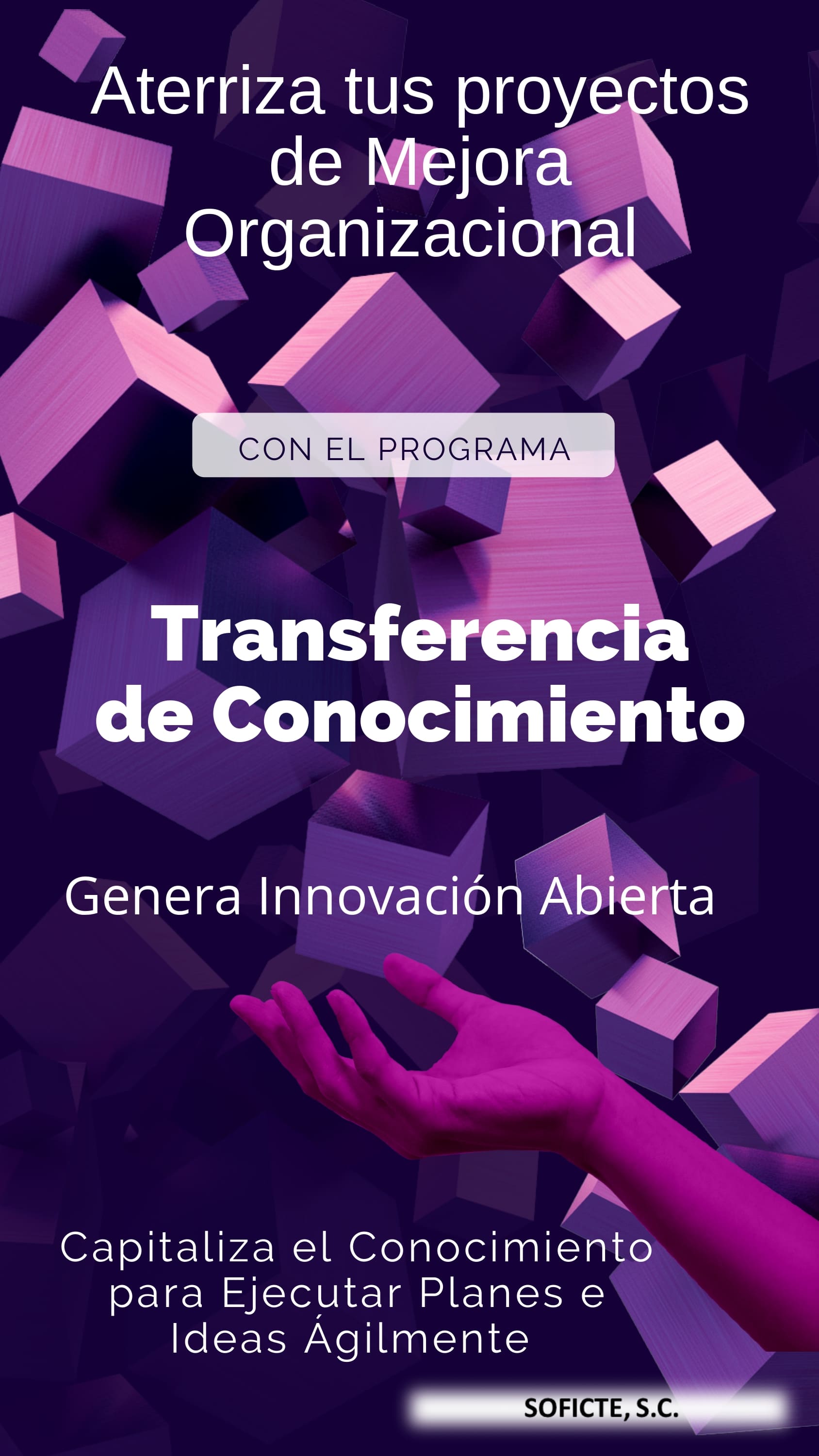 Tranferecencia de Conocimiento